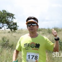 studio s 367